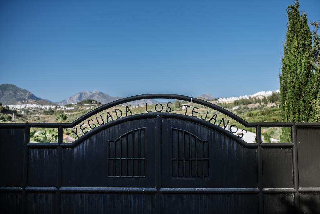 La Perla De Frigiliana Bed & Breakfast Deluxe Eksteriør bilde