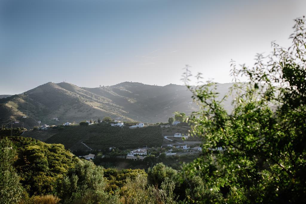 La Perla De Frigiliana Bed & Breakfast Deluxe Eksteriør bilde